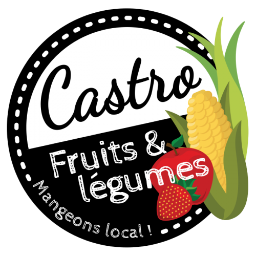 logo-castro